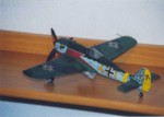 Focke Wulf Fw-190 A3 Fly Model 64 04.jpg

34,67 KB 
790 x 566 
25.02.2005
